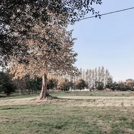 Relaxing Retreat For 2 On Beautiful Converted Bus Campingplatz *