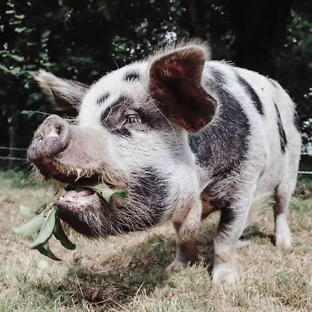 Relaxing Retreat For 2 On Beautiful Converted Bus *