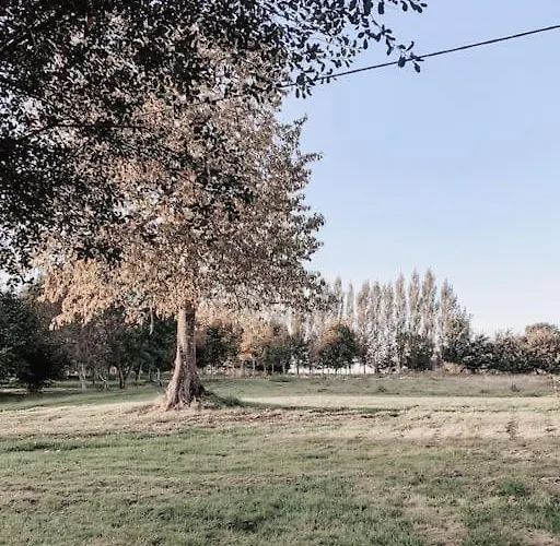 Relaxing Retreat For 2 On Beautiful Converted Bus Campeggio *